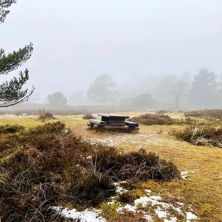 Seaside Escape In Praesto - By Traum Ferienhaus Mosebølle