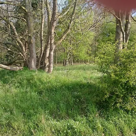 Ferienhaus Seaside Escape In Praesto - By Traum *