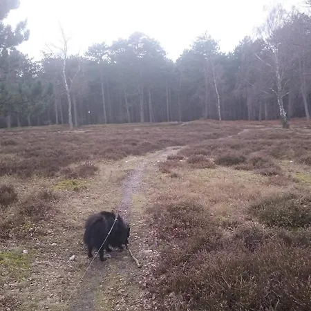 Ferienhaus Seaside Escape In Praesto - By Traum *