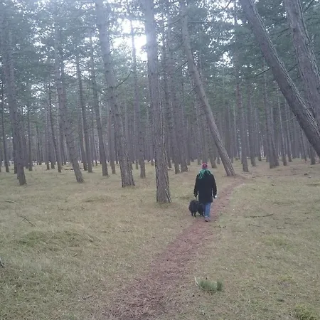 Ferienhaus Seaside Escape In Praesto - By Traum *